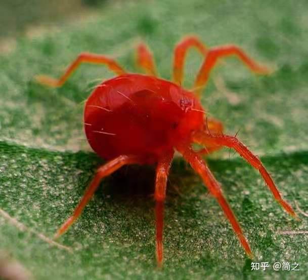 生存网络手机游戏用什么软件_不用网络手机的生存游戏_生存网络手机游戏用什么登录