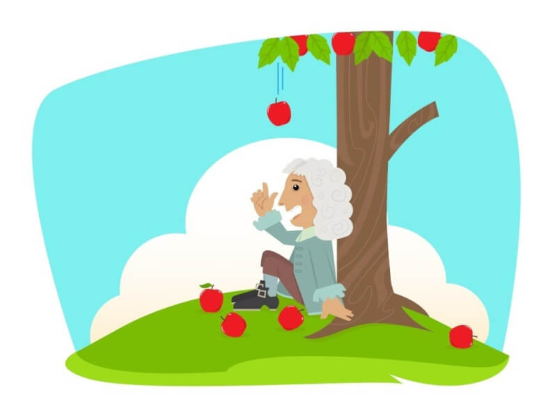 牛顿苹果树还活着吗_牛顿与苹果树_牛顿苹果树图片