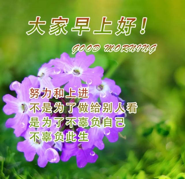 巴尔-美好生活，从这三个小改变开始