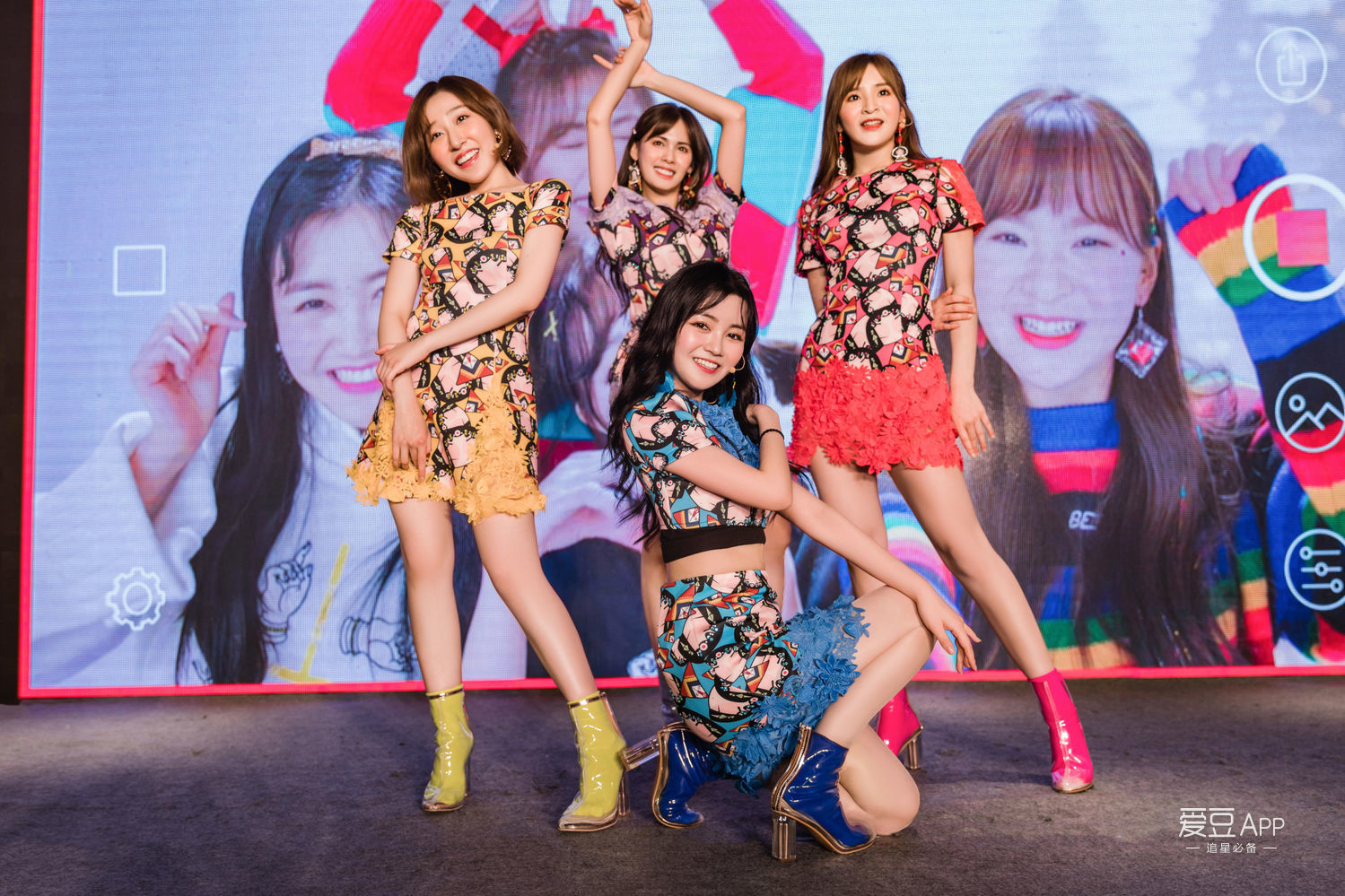 广濑结香_结香又名什么_结香照片