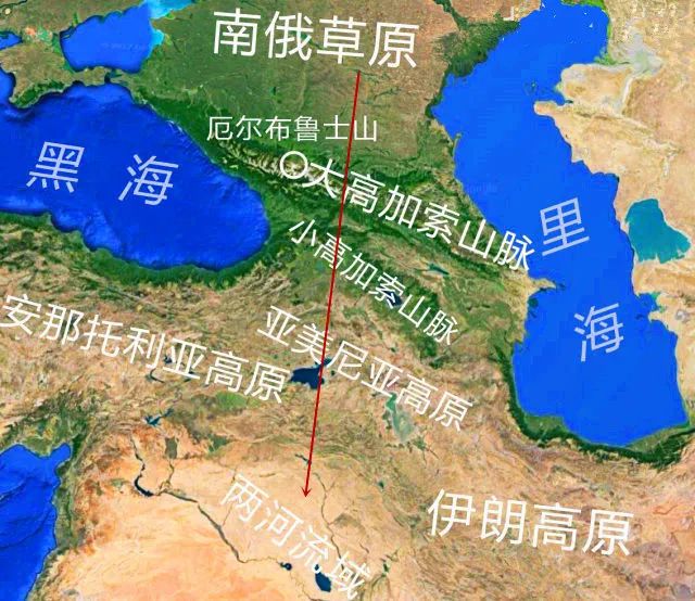 动物类游戏手机游戏-穿越真实动物世界，探索多样生态与战斗对决