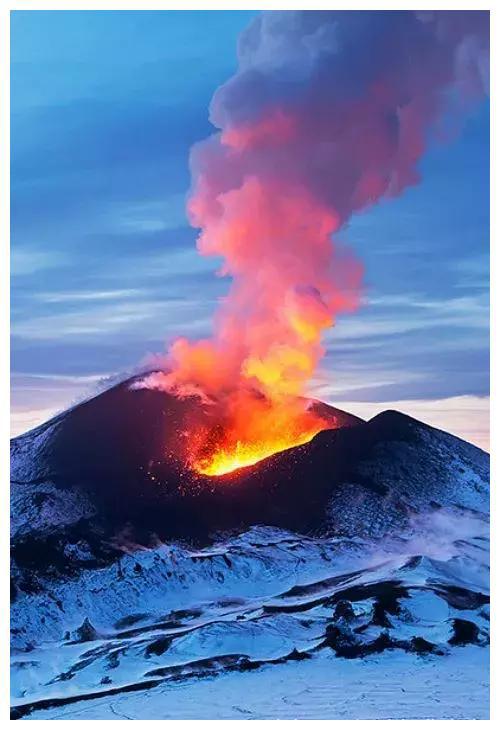 多力特的奇幻冒险记-多力特：神秘森林挑战，火山岛冒险，宝藏之