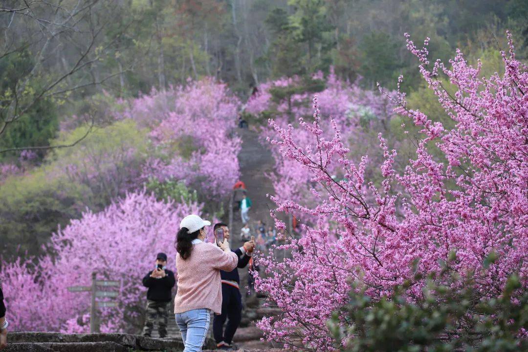 千野_千野草场_千野草场