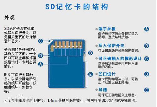 手机游戏安装到sd卡可以玩吗_手机游戏安装在sd卡_sd卡在手机怎么下载游戏