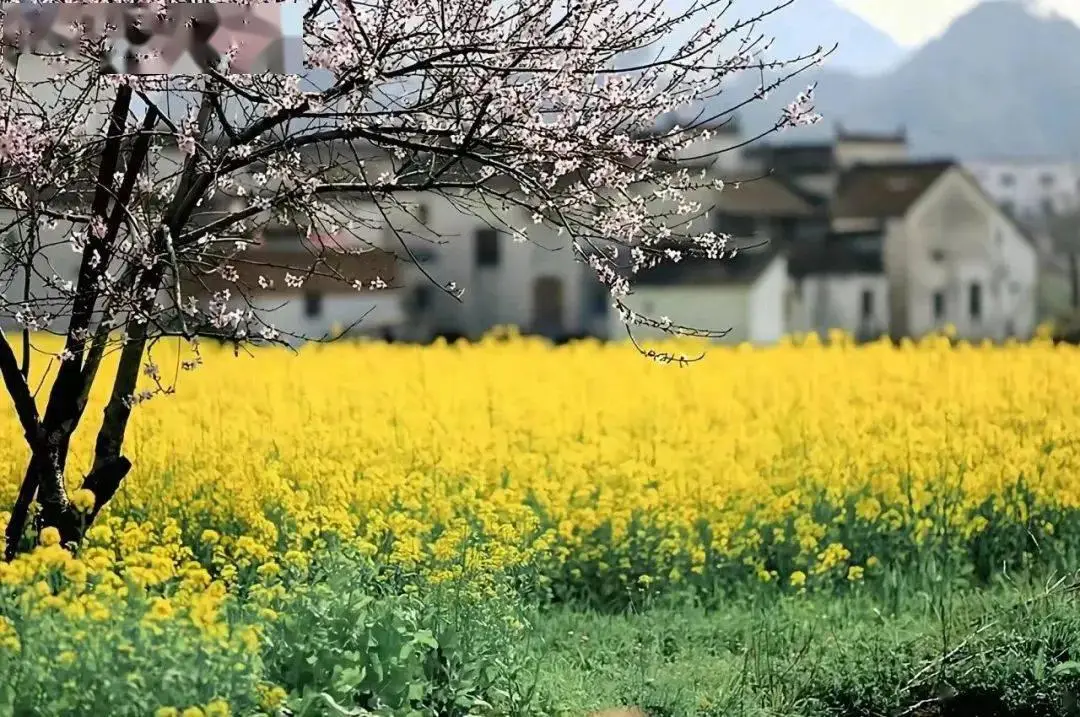 奎怎么读_奎的意思_奎若
