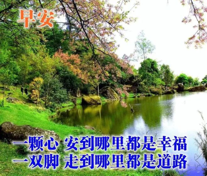 5月15_9月10月11月12月英文_11月3日～11月9月英文