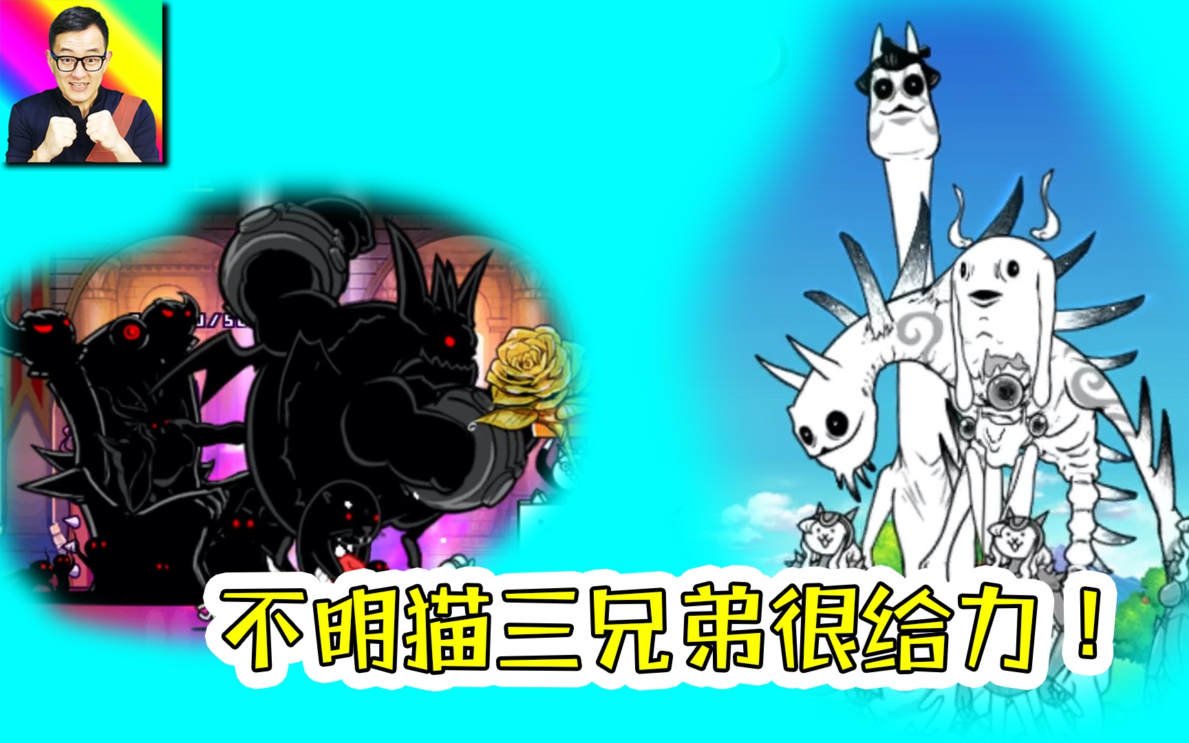 白猫游戏手机_白猫手机游戏怎么玩_白猫手游