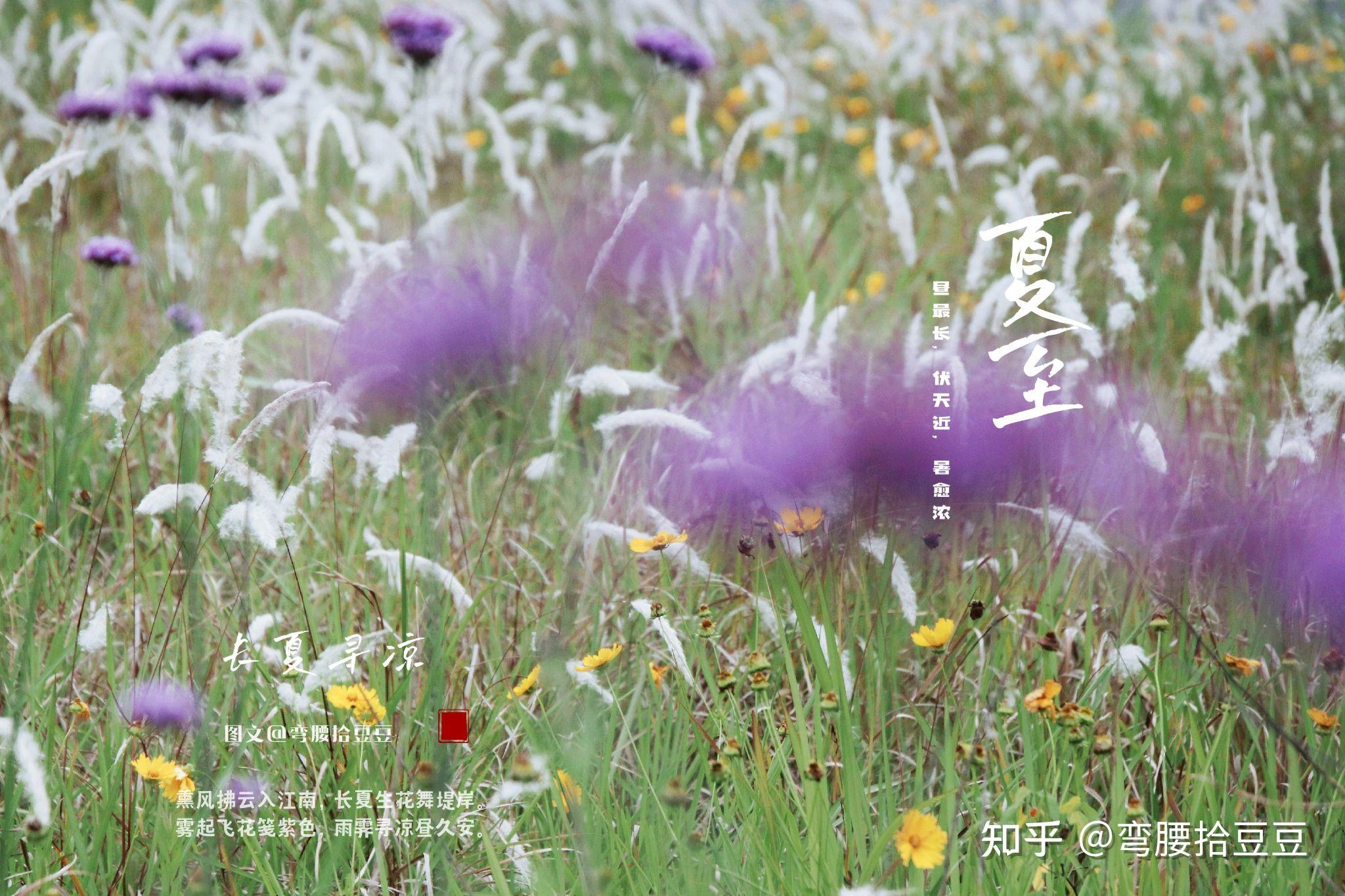 孟夏月是艺人吗_孟夏是几月_孟夏月是什么意思