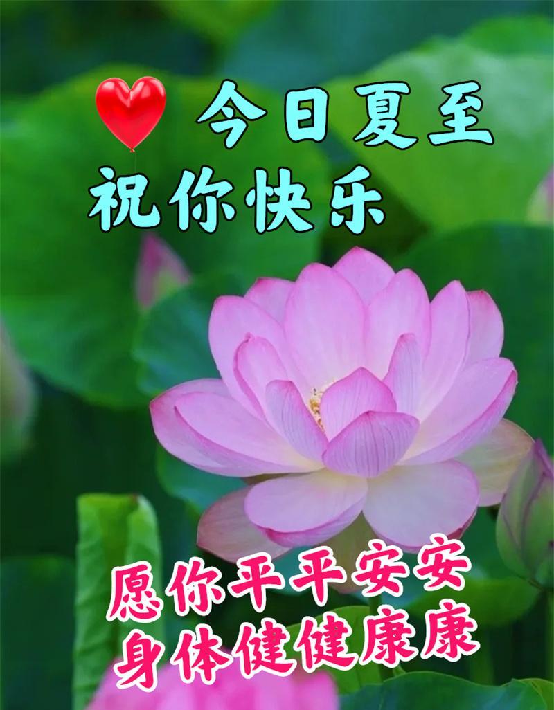 孟夏月是什么意思_孟夏月是艺人吗_孟夏是几月