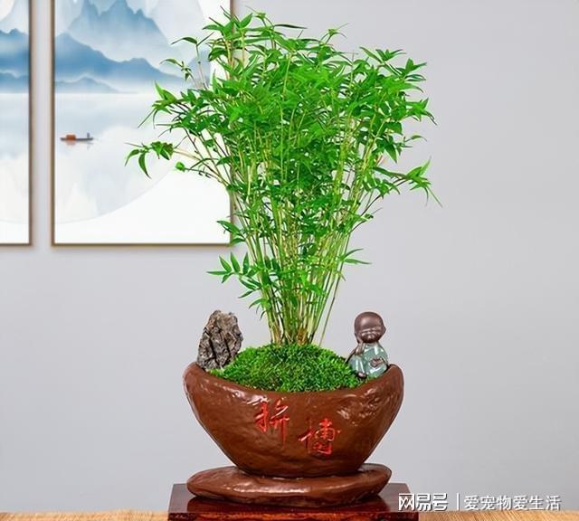 打游戏手机支架放哪里_手机支架玩手机算违章吗_专门玩手机游戏的支架