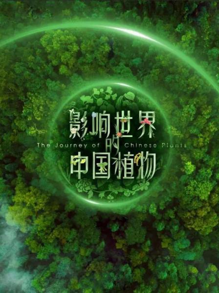 虚拟船舰游戏手机：畅游未知海洋，体验自由探险之旅