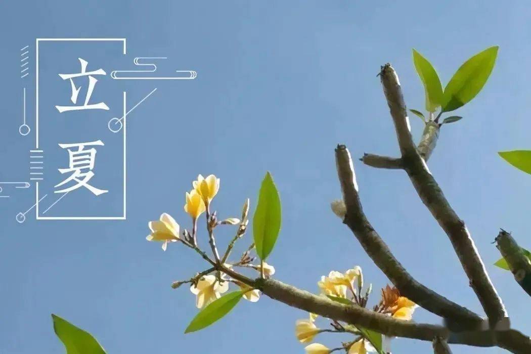 6月28日是黄道吉日吗-6 月 28 日是否为黄道吉日？传统