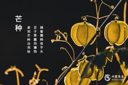 芒种含义_芒种的寓意和象征_芒种的含义是什么10个字左右