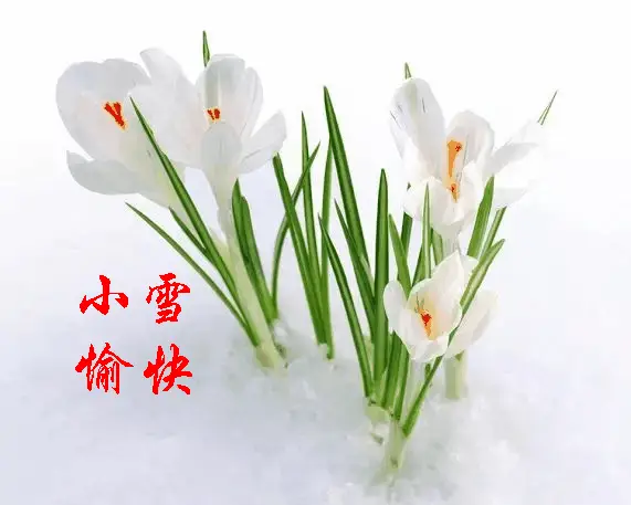 齐耶赫_齐杰_齐杰