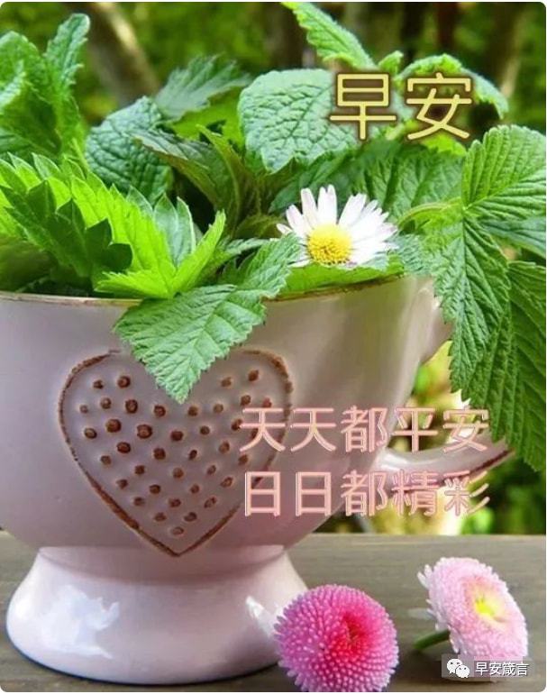 齐耶赫_齐杰_齐杰