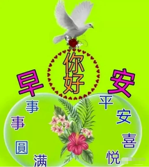 齐耶赫_齐杰_齐杰