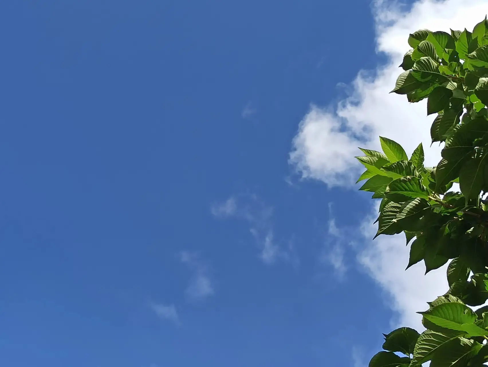 等价交换汉化版_手机版等价交换下载_等价交换免费手机版游戏