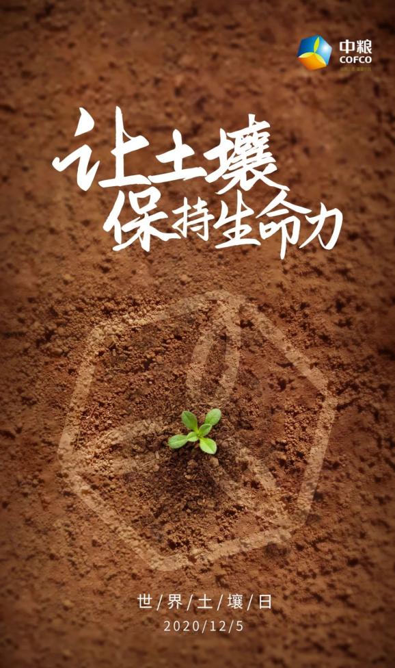 世界土壤日_土壤世界告诉我们什么道理_土壤世界阅读感想