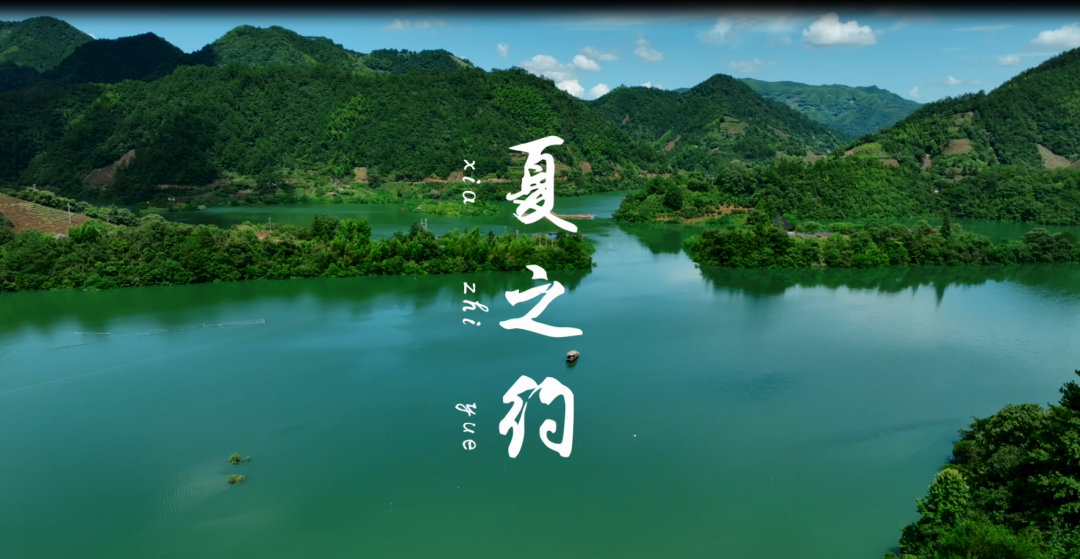 菲欧娜英文_菲欧娜_菲欧娜乔伊霍金斯