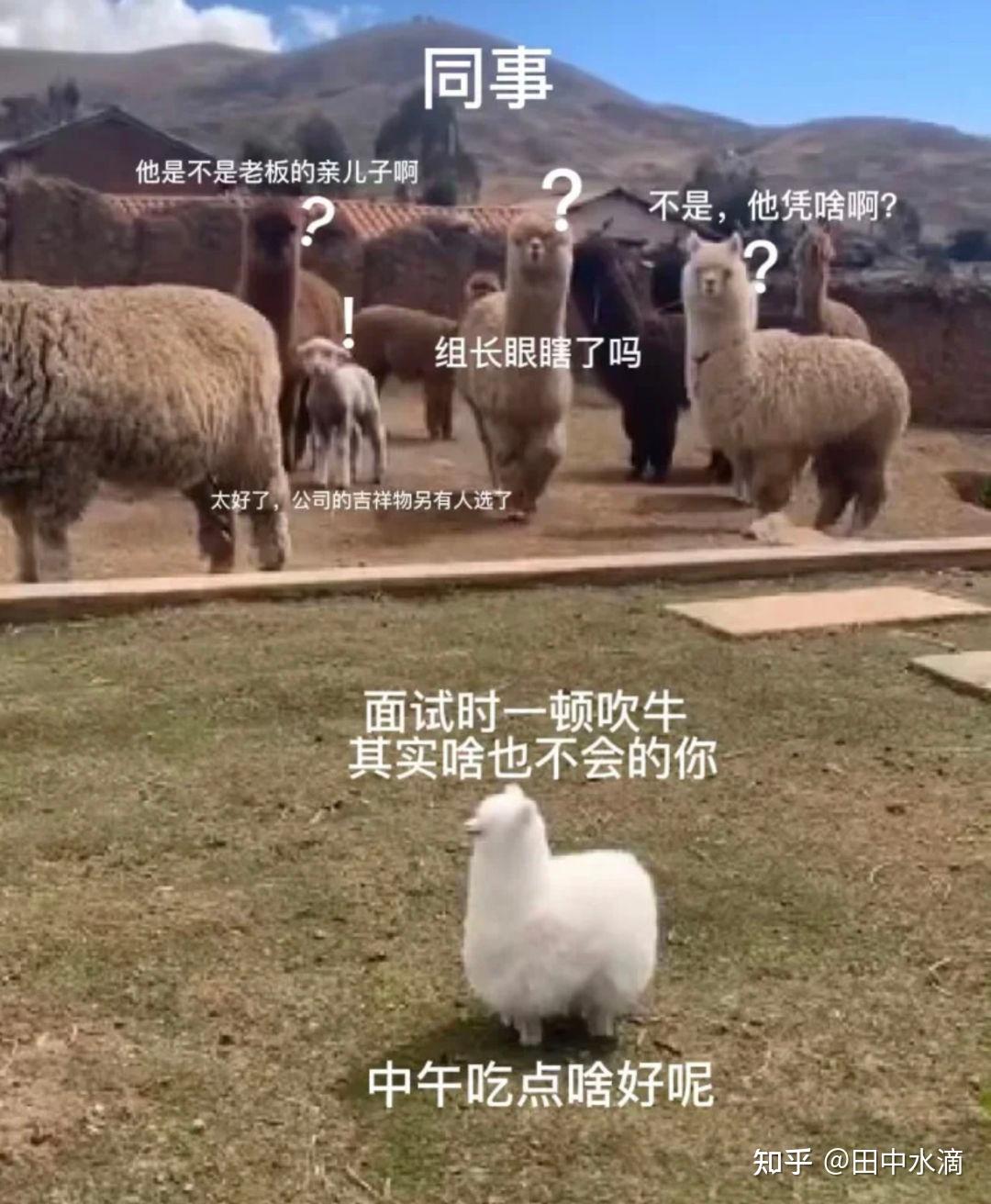 抖音作品搬运会怎样_抖音搬运别人作品有什么后果_抖音搬运有什么后果