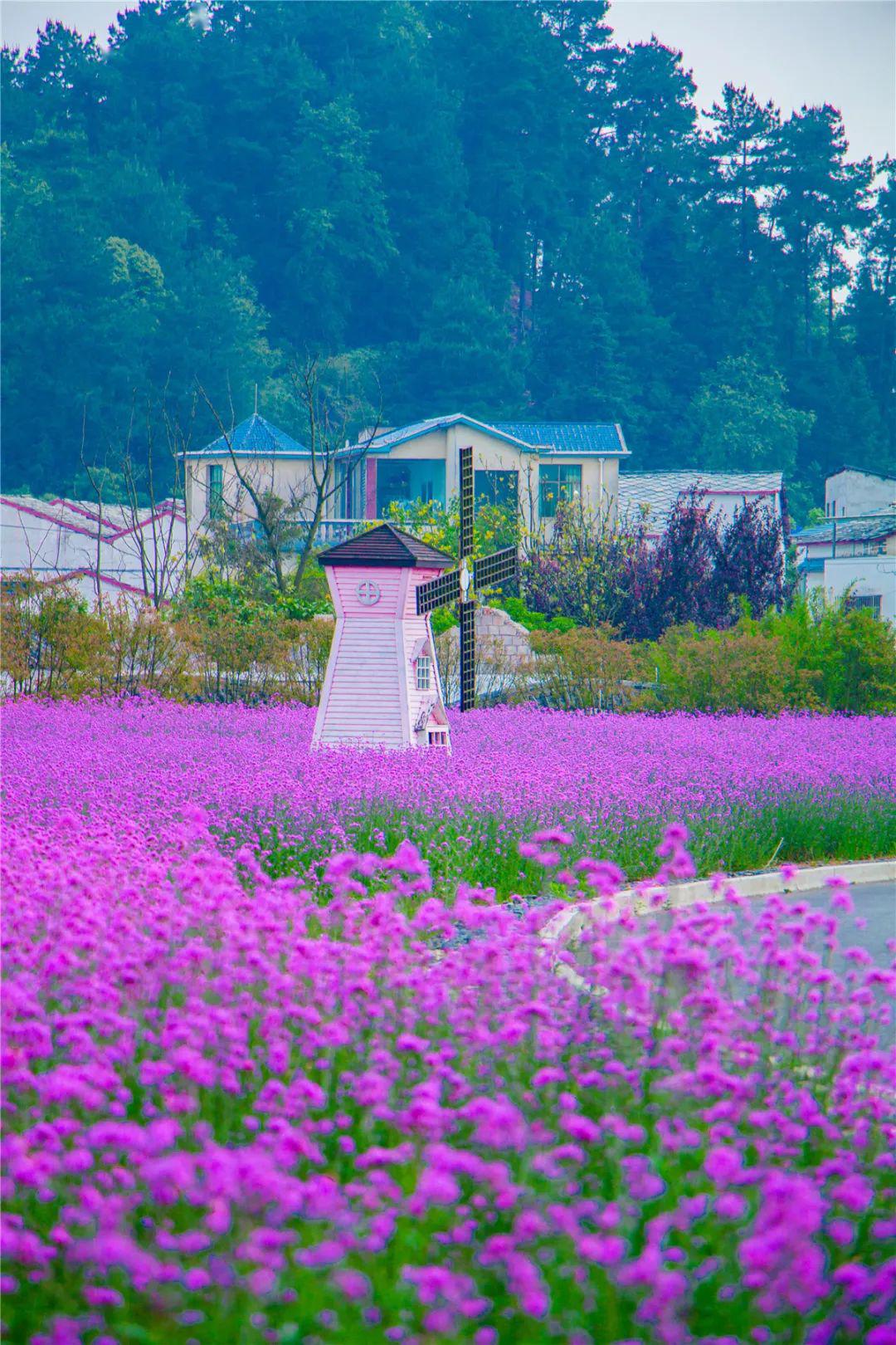 恋色空模样_恋色空模样_恋色空模样