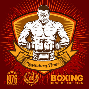 boxing手机游戏_手机游戏推荐_手机游戏box