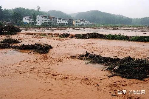 水灾台湾地区演员赈灾义演_水灾台湾设计家_台湾水灾