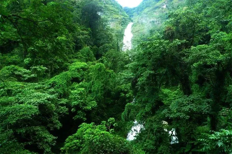 暗月卡牌_暗月卡片套牌_暗月卡片有哪些