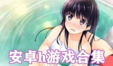 安卓h的游戏.