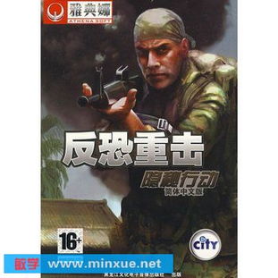 隐秘行动,隐秘行动背后的策略与技巧解析