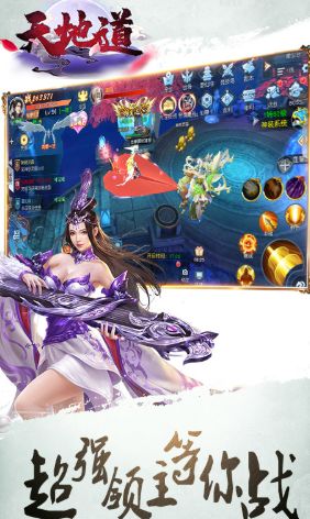 天地道游戏安卓版,体验无尽奇遇