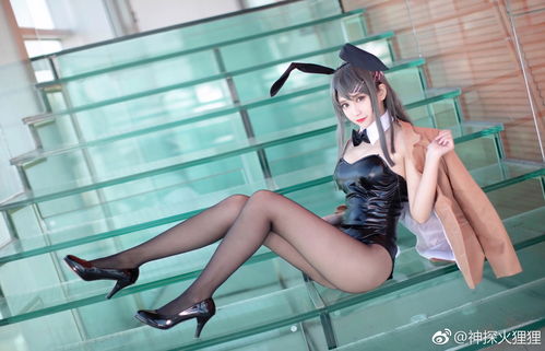 兔女郎是什么