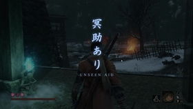 只狼怨恨之鬼在哪,怨恨之鬼的神秘诞生之地