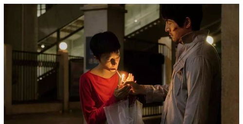隐秘的真相,探寻真相背后的秘密与真相