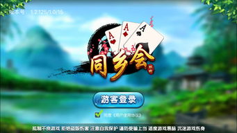 小鸟音乐会游戏 