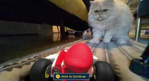 逗猫动漫app官方版下载安卓版 