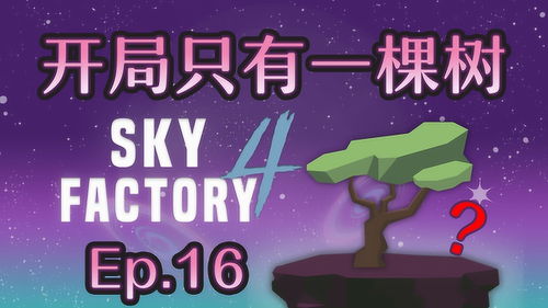 数字游戏英雄生存 