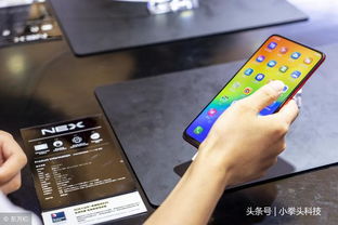 安卓苹果手机游戏,畅玩热门手机游戏大盘点